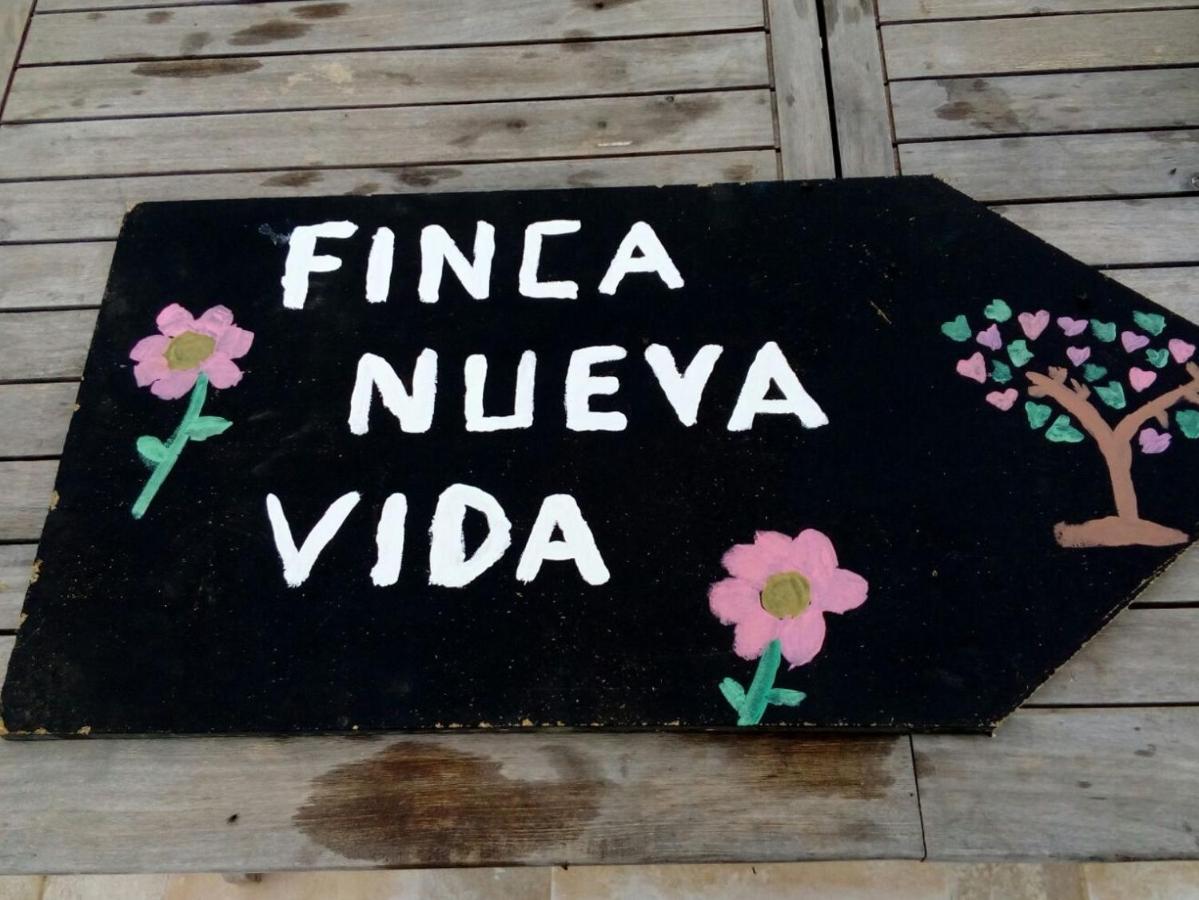 Eco Camping Nueva Vida Pensionat Chío Eksteriør billede