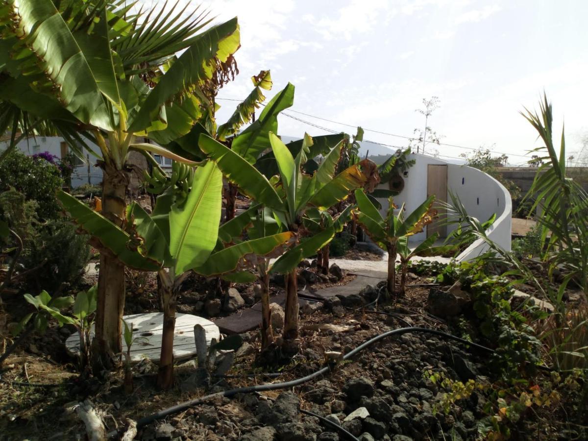 Eco Camping Nueva Vida Pensionat Chío Eksteriør billede