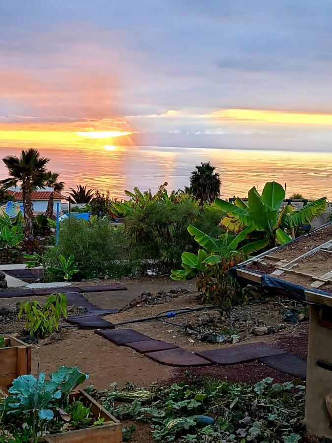 Eco Camping Nueva Vida Pensionat Chío Eksteriør billede