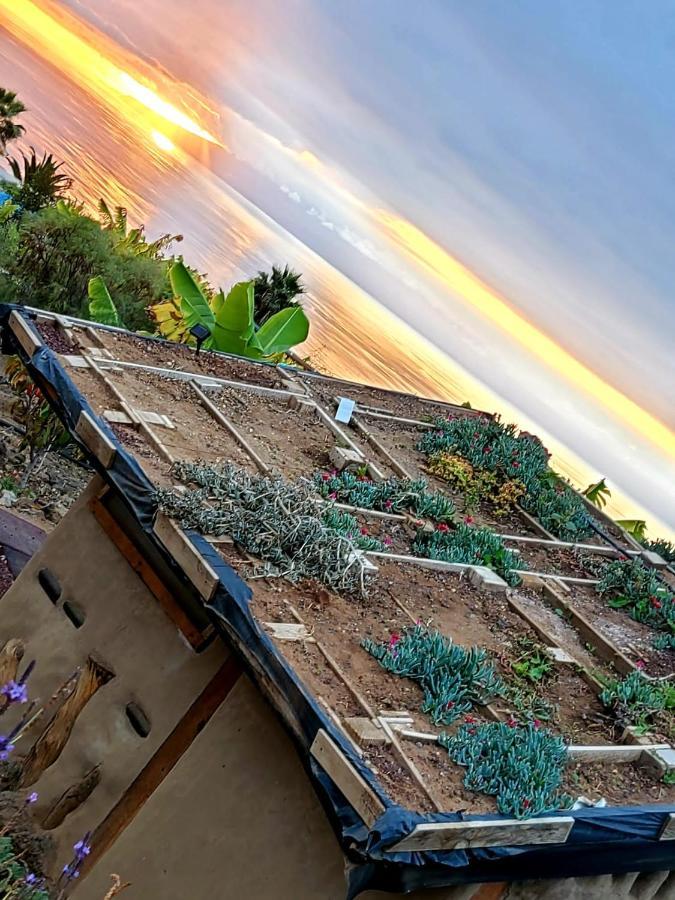 Eco Camping Nueva Vida Pensionat Chío Eksteriør billede